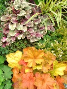 59b359e811d34cbb93c3a7bc0d6578